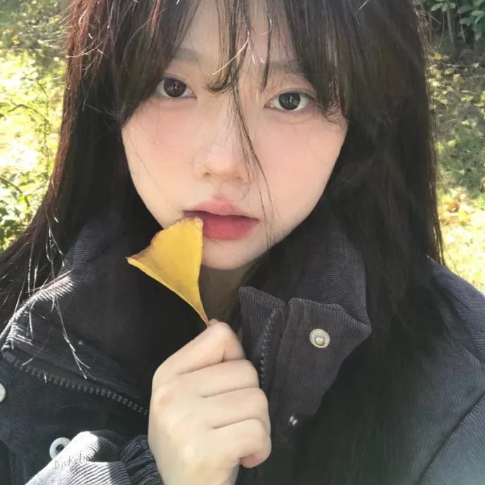 以规则之名